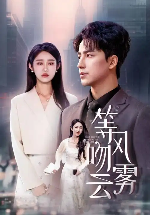 蜂鸟电影网年代剧归城纪事